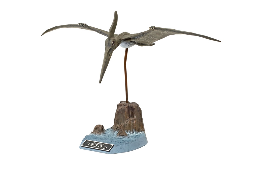 [ T60204 ] Tamiya pteranodon  1/35