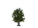 [ NO68015 ] Noch Loofboom groen, ca. 24 cm hoog