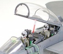 [ T60312 ] Tamiya F-15E w/Bunker Buster 1/32