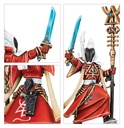 [ GW73-462 ] COMBAT PATROL: AELDARI (Leverbaar vanaf 15/3)