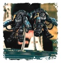 [ GW48-79 ] SPACE MARINES: INCEPTOR SQUAD