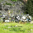 [ VICTRIXVXM004 ] Medieval Foot Knights