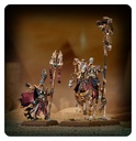[ GW07-14 ] TOMB KINGS OF KHEMRI: LICHE PRIESTS (Leverbaar vanaf 18/10)
