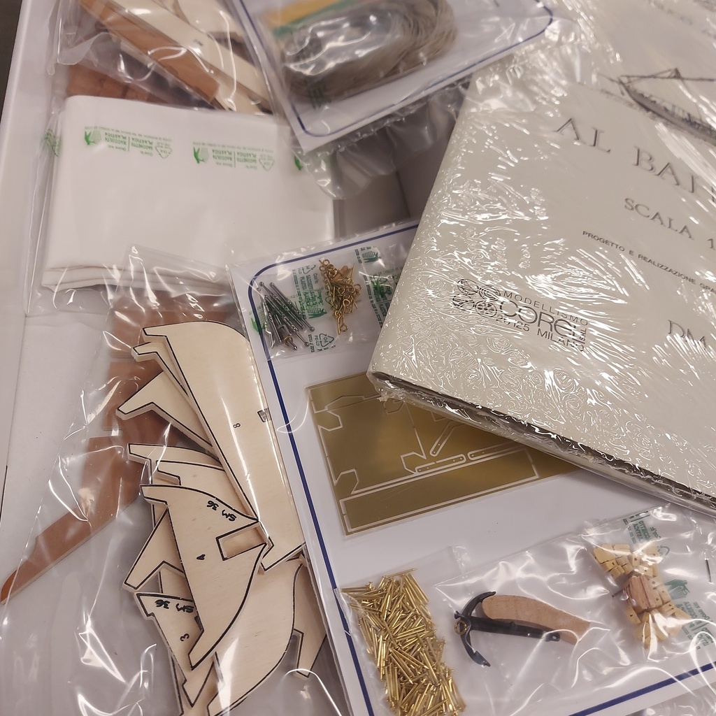 [ COSM36 ] Corel Al Bahran 1/50