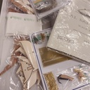 [ COSM36 ] Corel Al Bahran 1/50