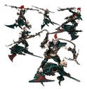 [ GW45-27 ] THE MAELSTROM BATTALION: DRUKHARI (Leverbaar vanaf 28/2)