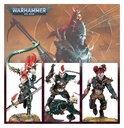 [ GW45-27 ] THE MAELSTROM BATTALION: DRUKHARI (Leverbaar vanaf 28/2)