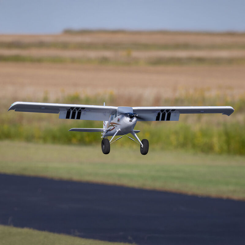 [ EFL-3352 ] TIMBER 10-Year Anniversary Edition BNF Basic