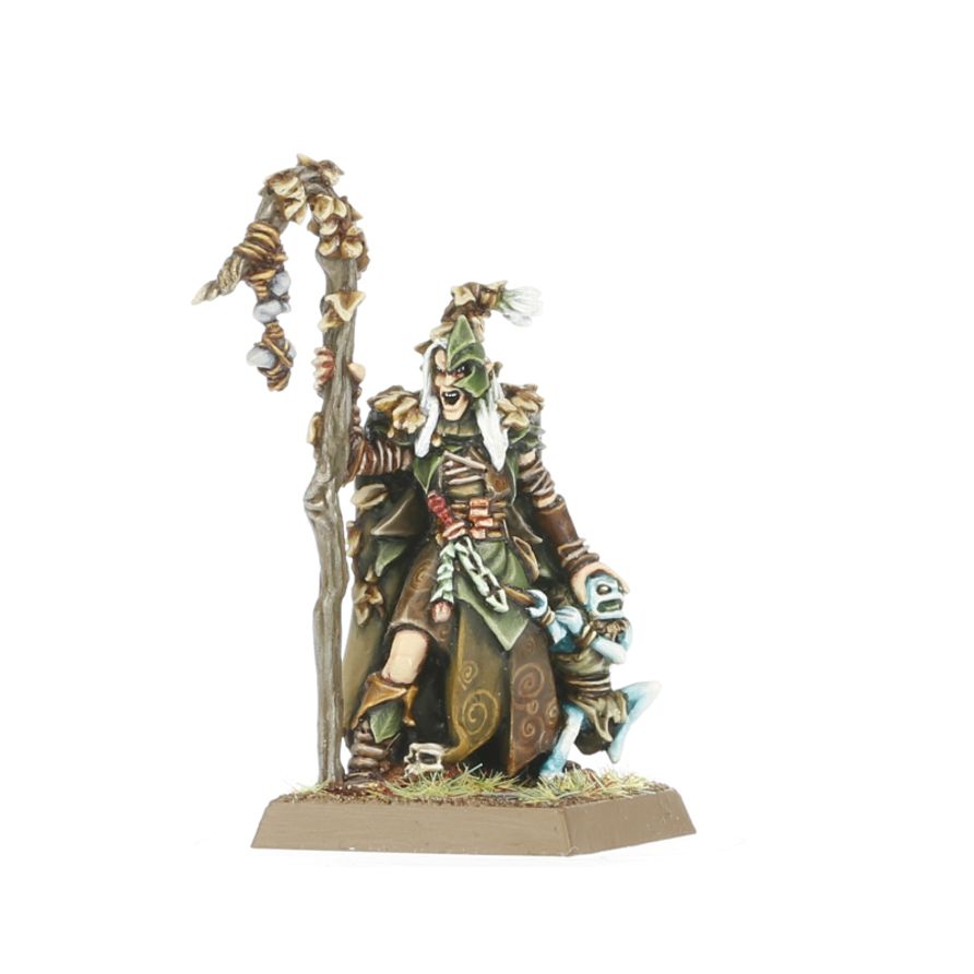 [ GW99112704017 ] Wood elf realms: Wood elf mages