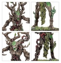 [ GW92-53 ] SYLVANETH: THE TWISTED BRANCH