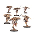 [ GW31-162 ] LEGIO CUSTODES: VENATARI SODALITY