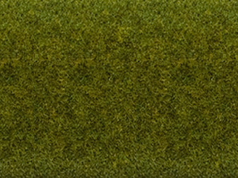 [ NO00013 ] Noch Grasmat Weide, 200 x 100 cm