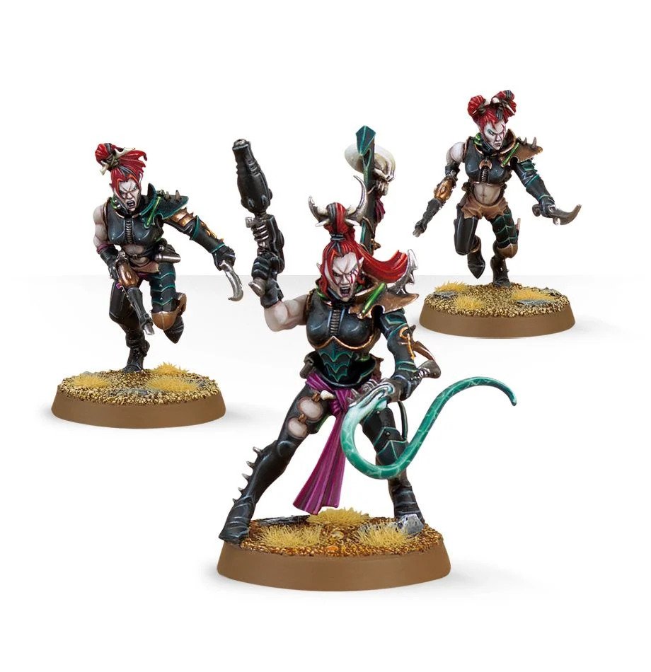 [ GW45-08 ] Drukhari WYCHES