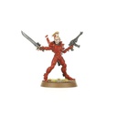 [ GW46-09 ] AELDARI:GUARDIANS