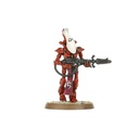 [ GW46-13 ] ELDAR WRAITHGUARD