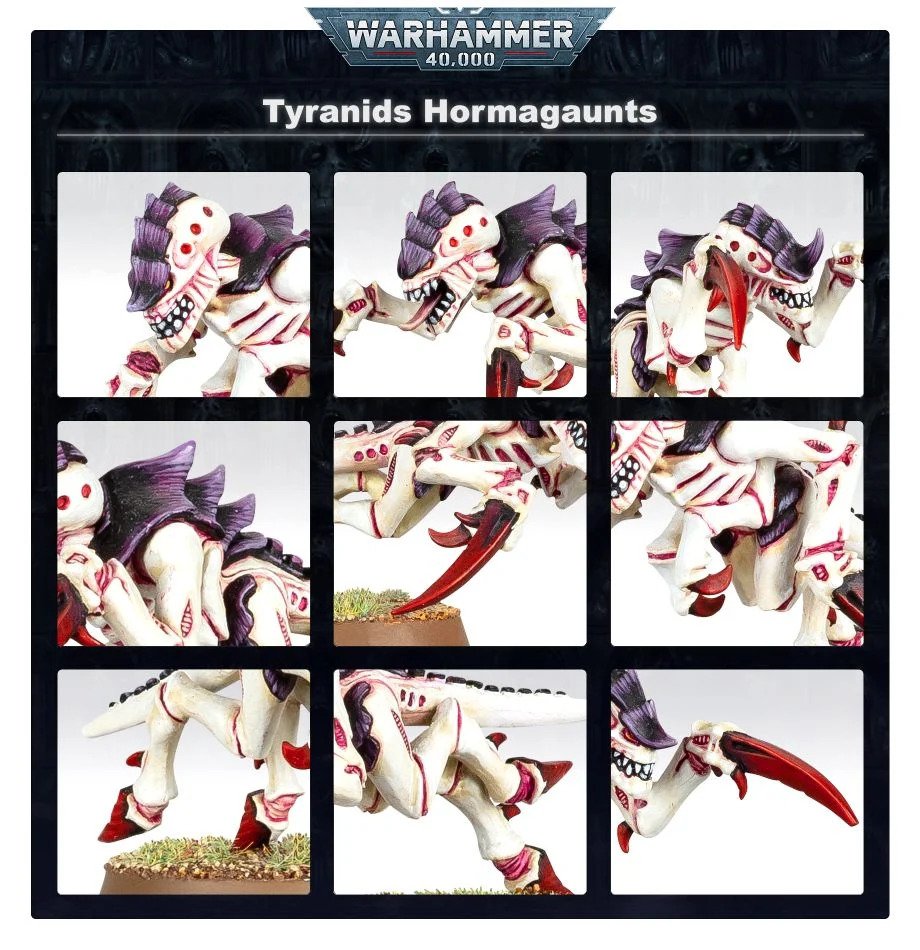 [ GW51-17 ] Tyranids: Hormagaunts