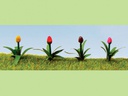 [ JTT95555 ] JTT 1" Tulips 36 pcs  schaal O  1/48