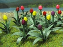 [ JTT95555 ] JTT 1" Tulips 36 pcs  schaal O  1/48