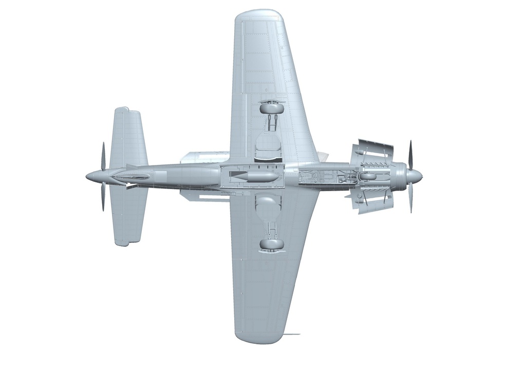 [ HKM01E08 ] Hong Kong models Dornier Do 335 A Fighter bomber 1/32