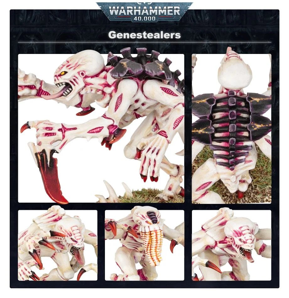 [ GW51-06 ] TYRANIDS: GENESTEALERS