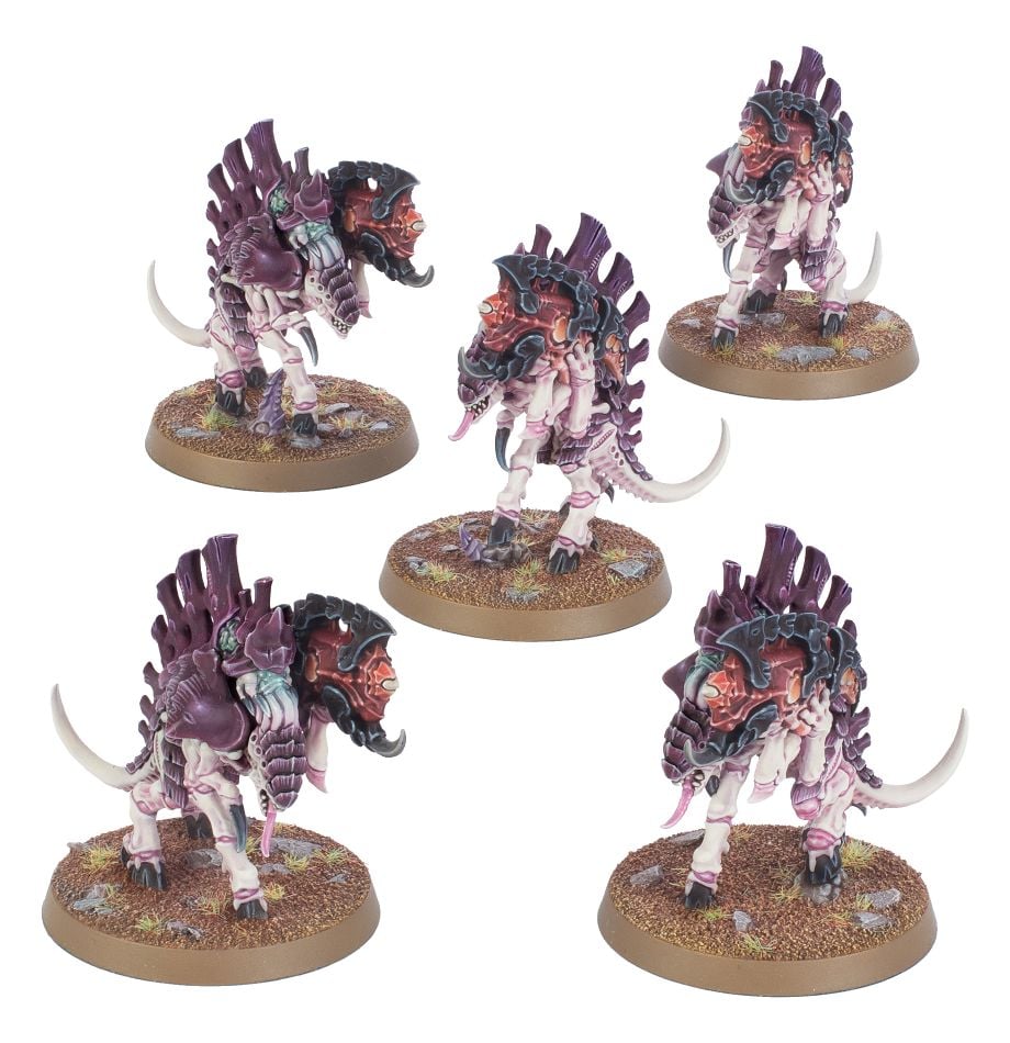 [ GW51-28 ] TYRANIDS: BARBGAUNTS