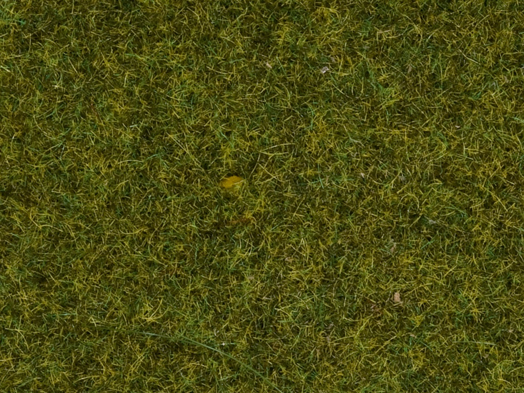 [ NO08361 ] Noch Strooigras "Weide" 4mm
