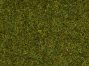 [ NO08361 ] Noch Strooigras "Weide" 4mm