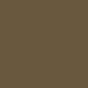 [ VAL71139 ] Vallejo Model Air US Field Drab 17ml