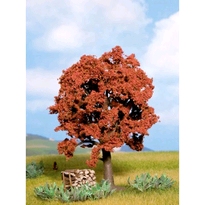 [ NO21730 ] Noch Europese Rode Beuk