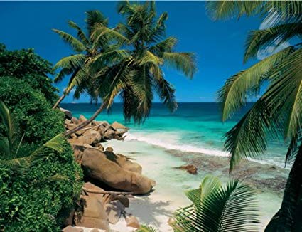 [ RAV162642 ] Seychelles 1500 stukjes