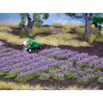 [ NO07136 ] Noch Lavendel