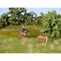 [ NO07403 ] Noch Natuur + Zomerweide