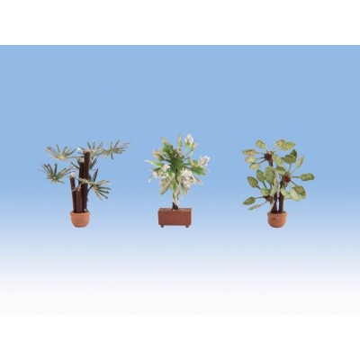 [ NO14023 ] Noch Mediterranean Plants