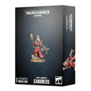 [ GW52-21 ] ADEPTA SORORITAS CANONESS