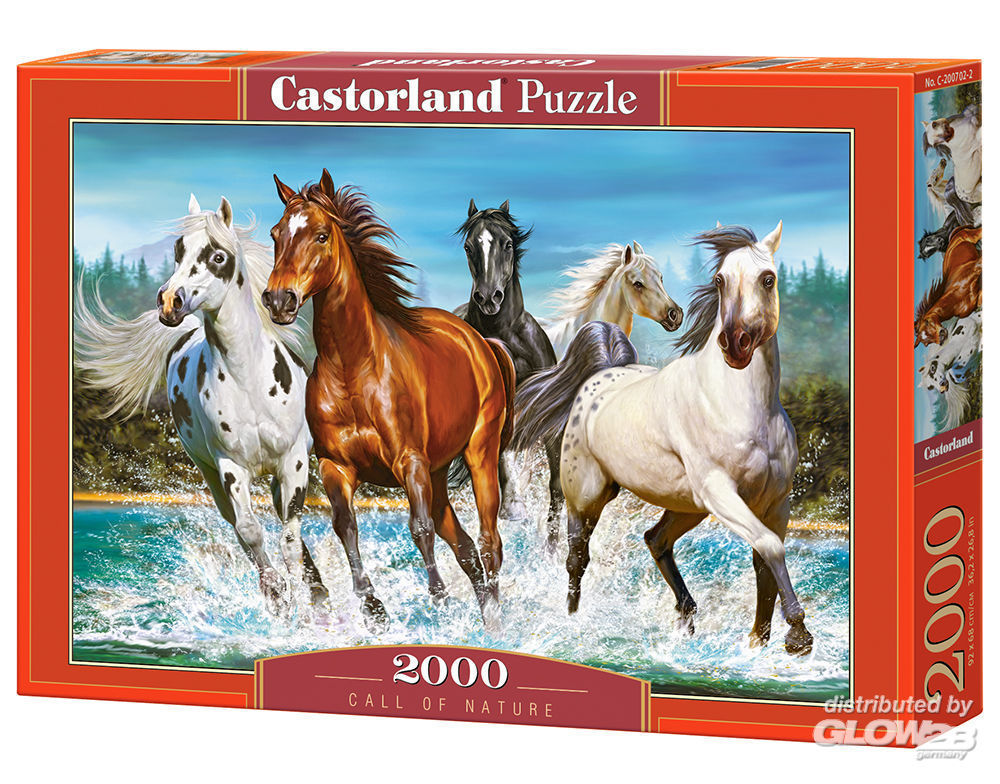 [ CASTOR200702 ] Castorland puzzle Call of Nature - 2000 stukjes