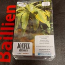 [ JOEFIX1086.72 ] Bananen bomen 1/72