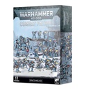 [ GW73-531 ] COMBAT PATROL: SPACE WOLVES (53-37)