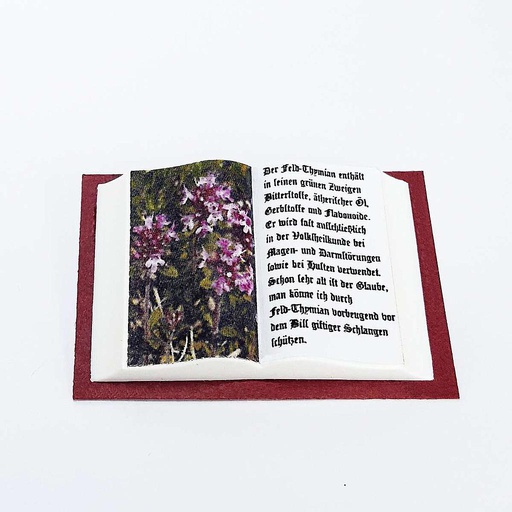 [ MM19360 ] Authentiek kunststof model van een open boek