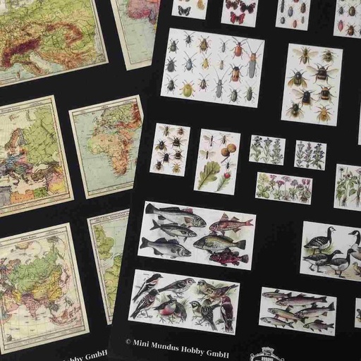 [ MM19390 ] Cut-out sheets for school