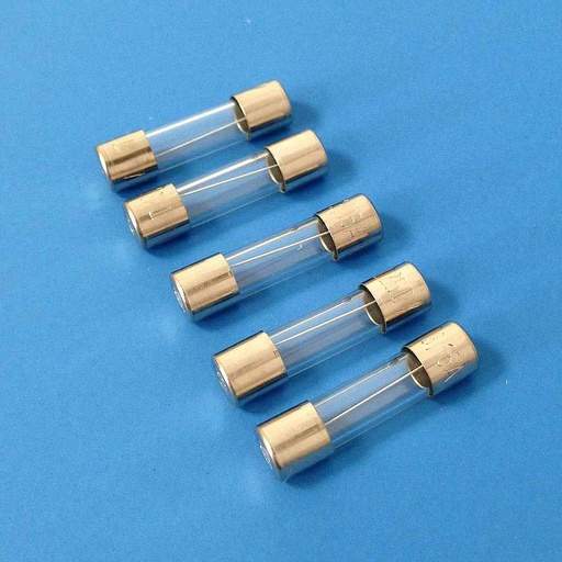 [ M22170 ] Mini Mundus Zekeringen 2 A (5stuks)