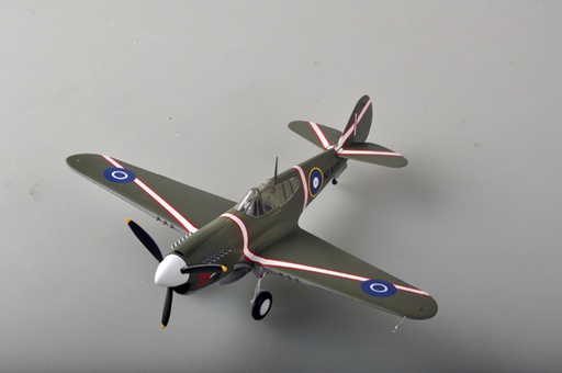 [ TRU39315 ] Easy Model P-40M  1/48                      1/48