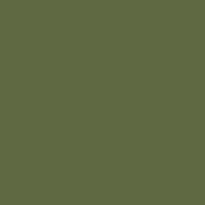 [ VAL71006 ] Vallejo Model Air Light Green Chromate 17ml