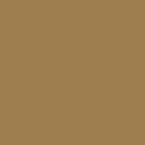 [ VAL71031 ] Vallejo Model Air Middlestone 17ml