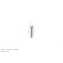 [ AE7771-06 ] zylinderk vijzen messing m1 x 12