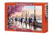 [ CASTOR200566 ] along the river 2000 stukjes
