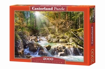 [ CASTOR200382 ] the forest stream 2000 stukjes