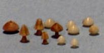 [ JOEFIX107 ] paddestoelen