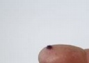 [ JOEFIX177 ] lavendel 2mm