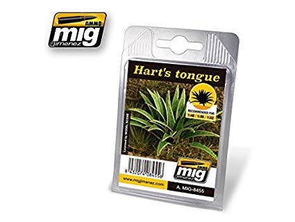 [ MIG8455 ] HART'S TONGUE (1/32 - 1/35 - 1/48)