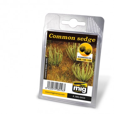 [ MIG8456 ] COMMON SEDGE (1/32 - 1/35 - 1/48)